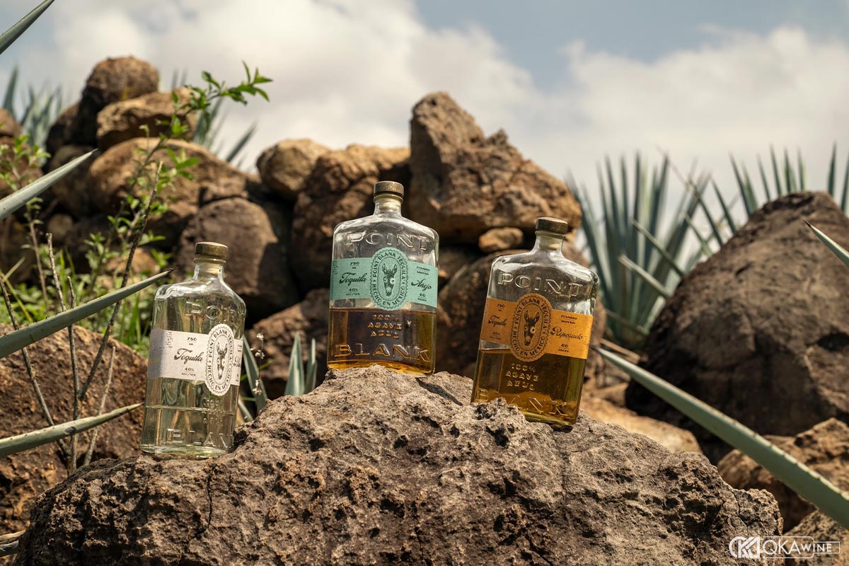 Gợi ý chọn Tequila theo khẩu vị và tình huống