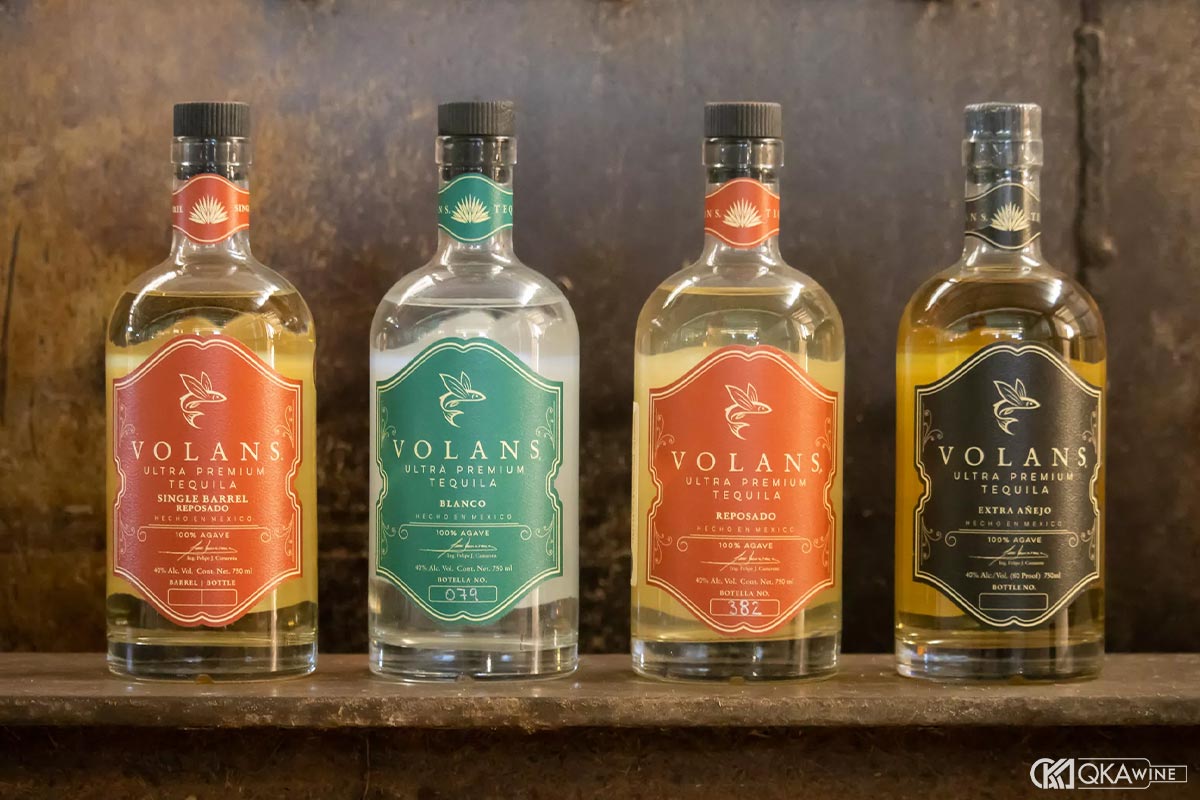 So sánh Tequila 100% Agave và Mixto