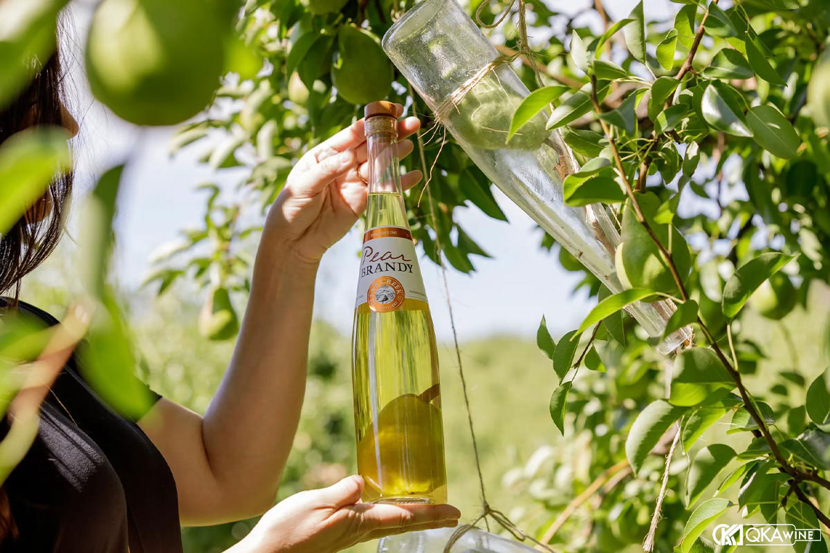 Eau-de-Vie phù hợp với ai và trong bối cảnh nào?