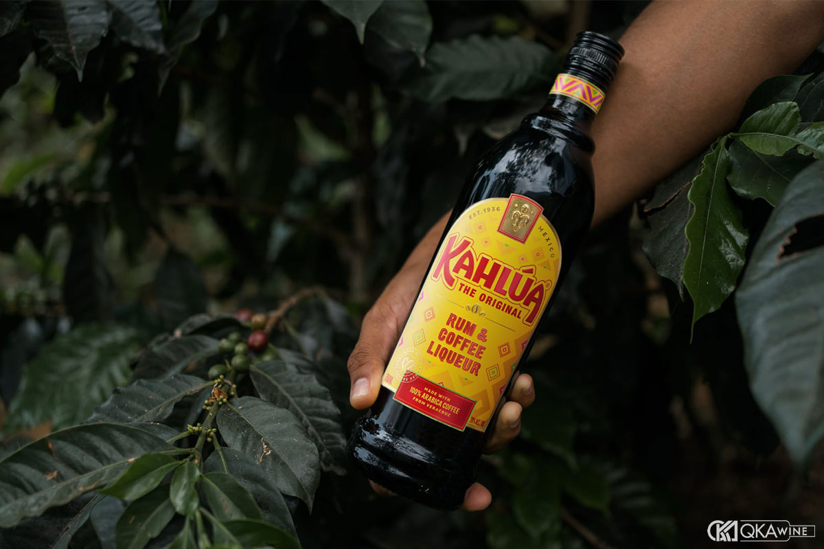 Nên chọn rượu Liqueur bao nhiêu độ cho từng nhu cầu?