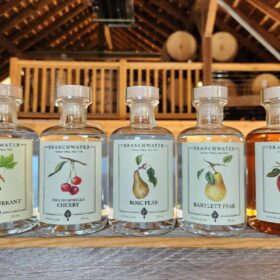 Top 10 loại trái cây làm rượu Eau-de-Vie ngon nhất nên thử