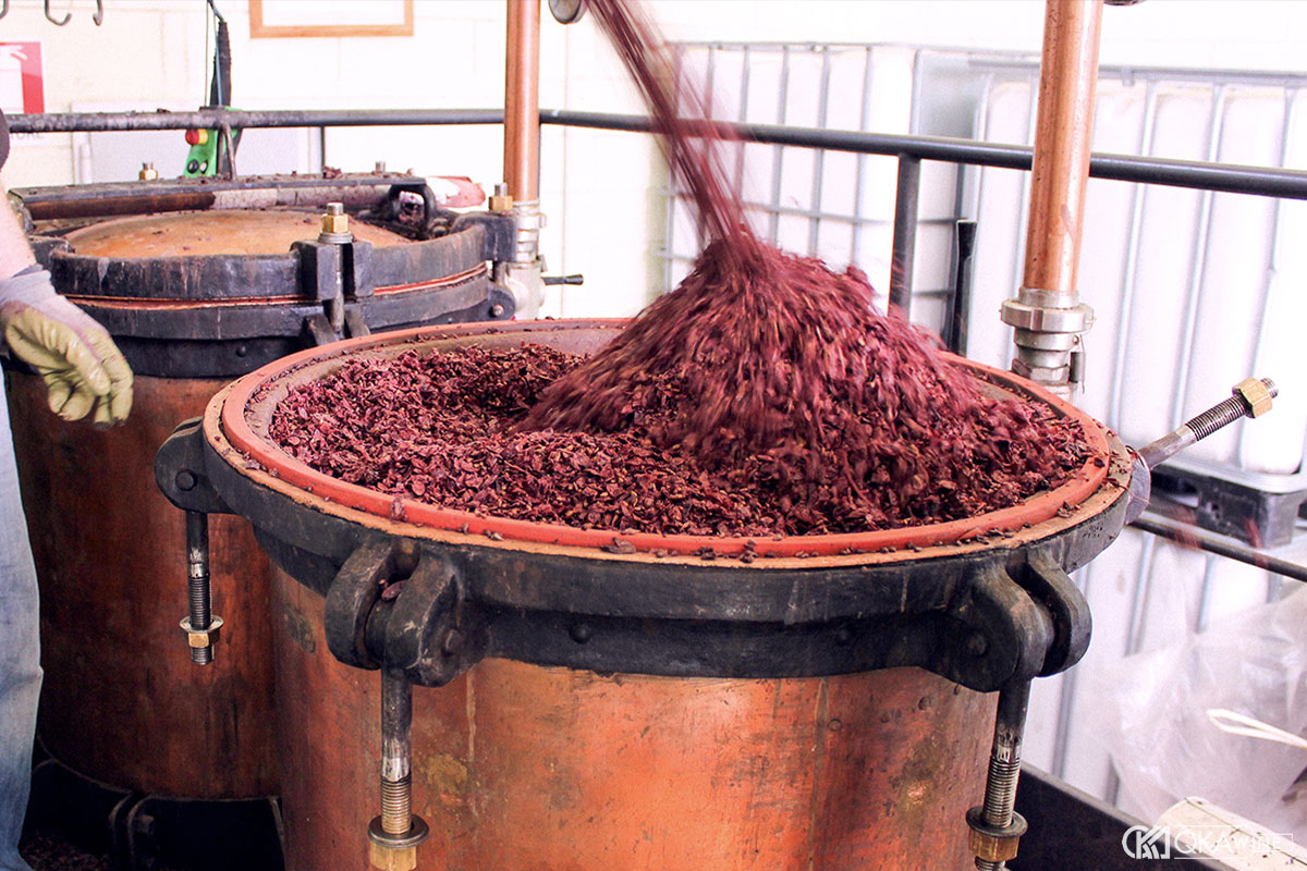 Chuẩn bị bã nho trước khi chưng cất Grappa