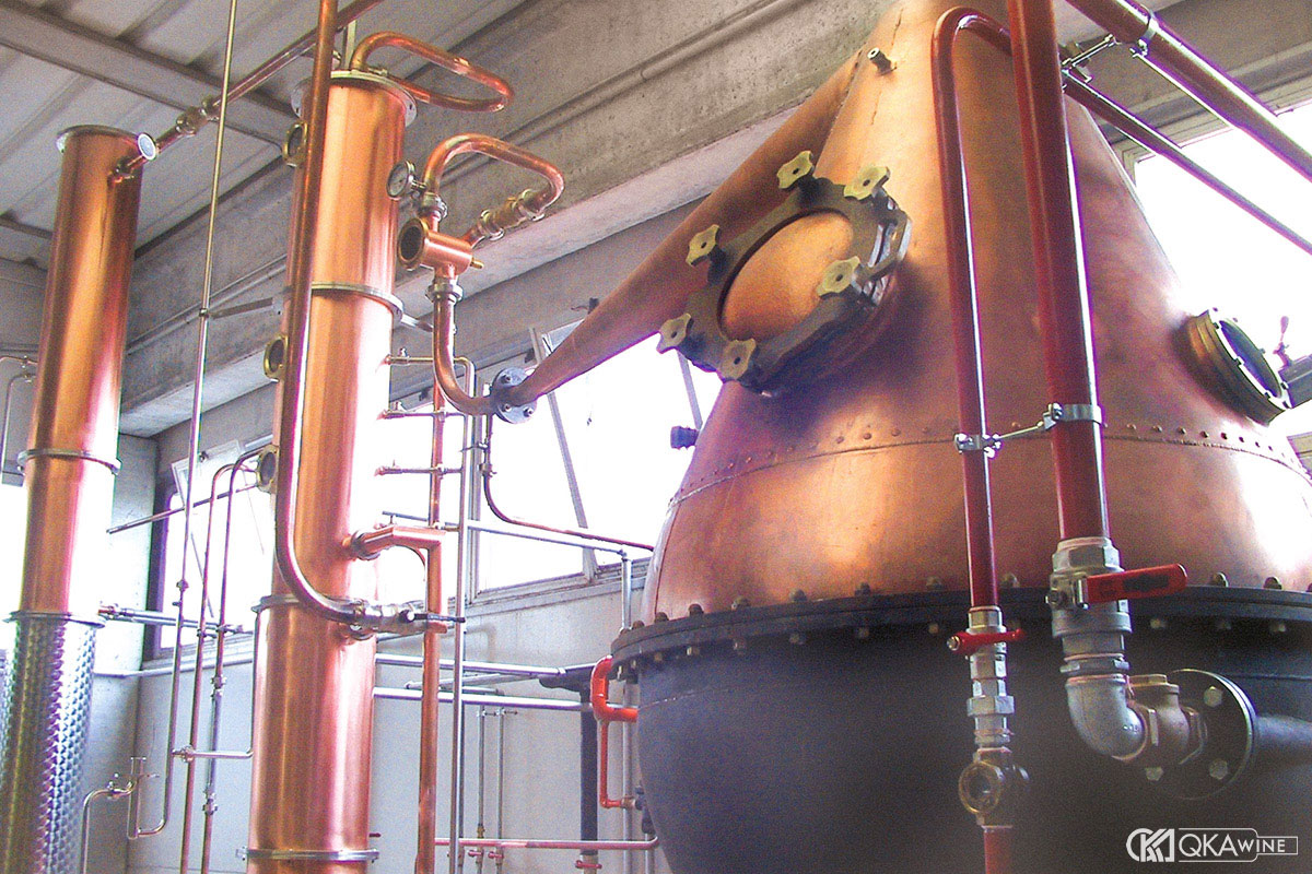 Quá trình chưng cất Grappa diễn ra như thế nào?