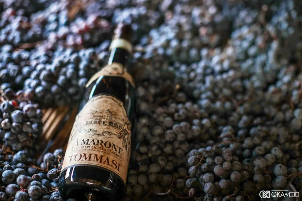 Amarone ảnh hưởng thế nào đến phong cách Grappa Tommasi?