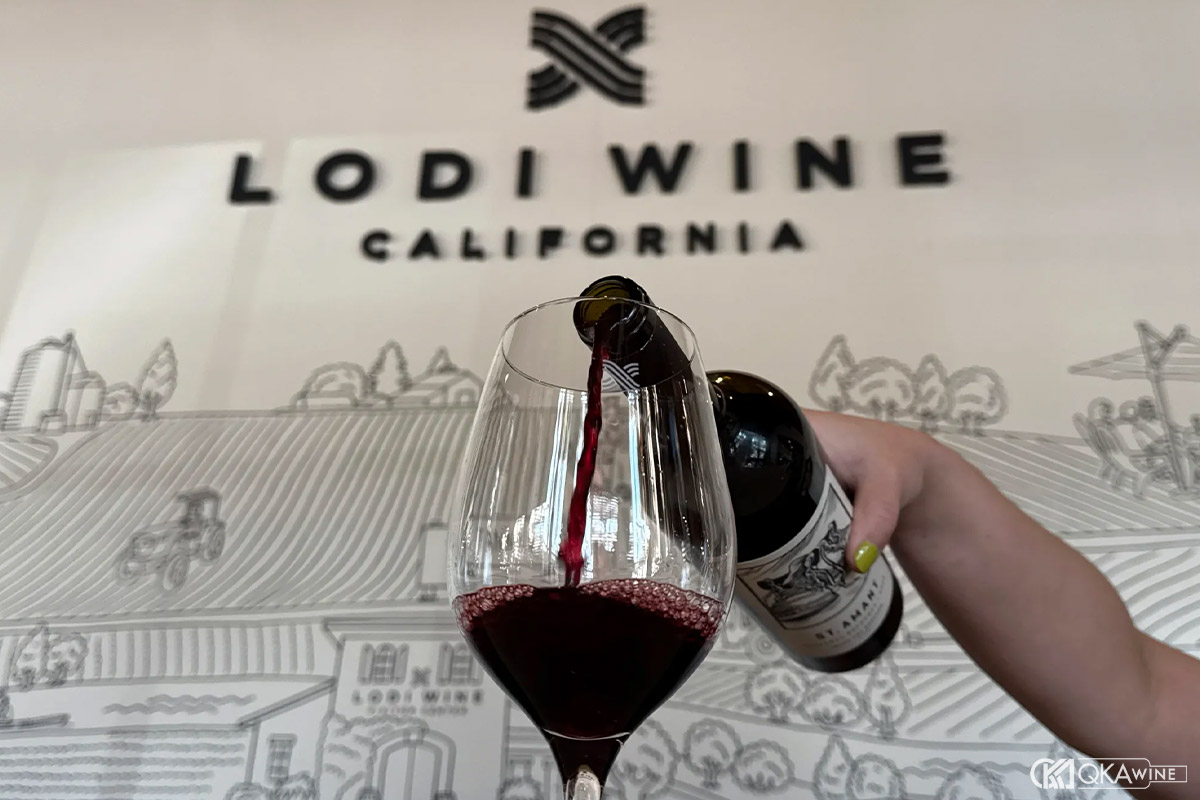 Cấu trúc tannin của Cabernet Sauvignon California