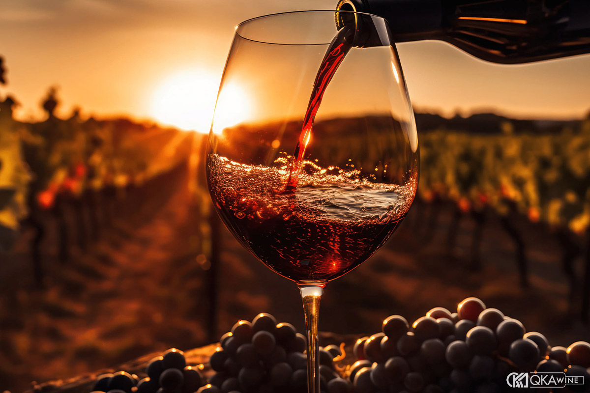 Cấu trúc và cảm giác trong ly giữa Bordeaux và Burgundy