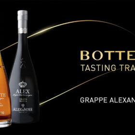 Grappa Alexander: Dễ uống hay chỉ là cảm giác ban đầu?