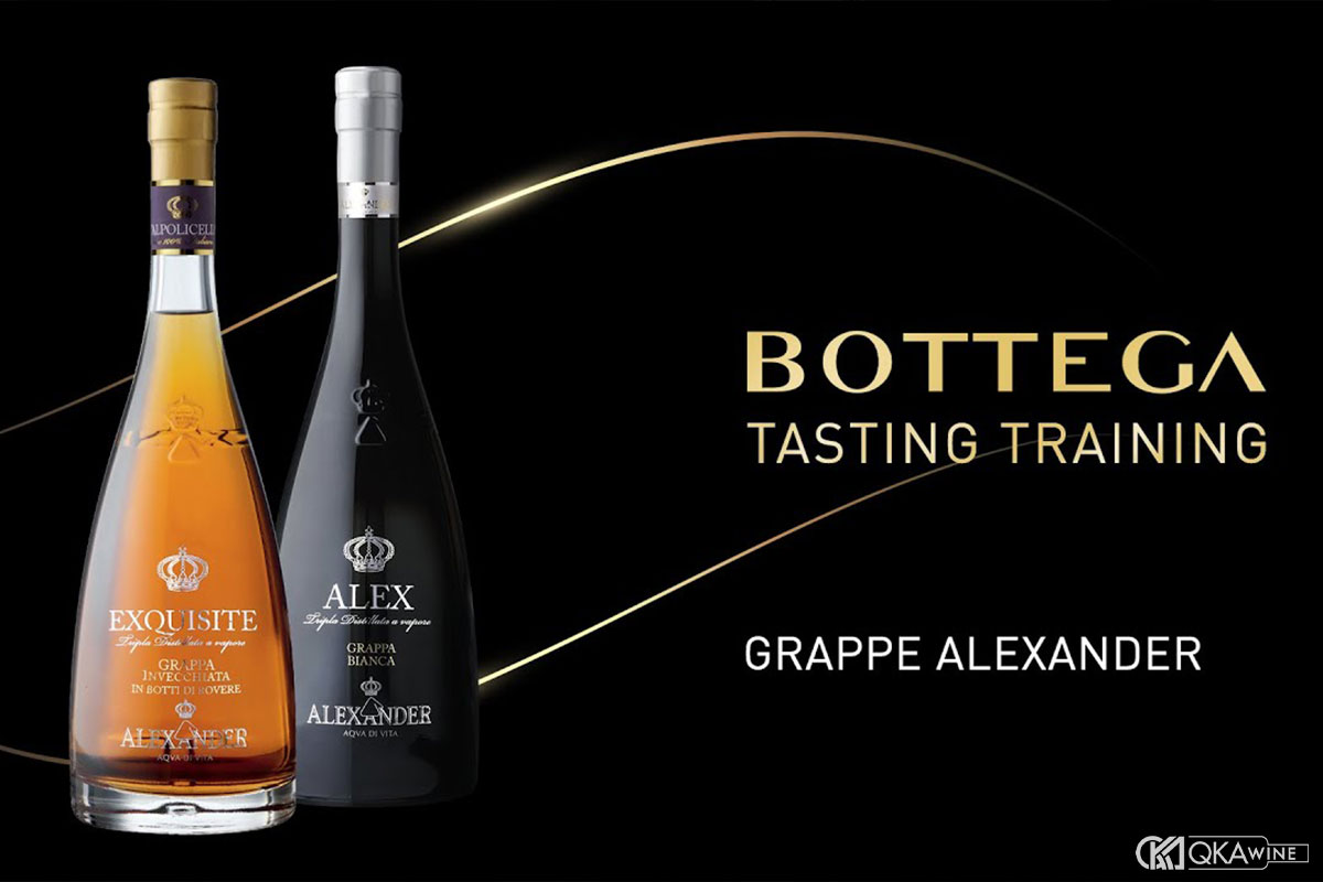 Grappa Alexander: Dễ uống hay chỉ là cảm giác ban đầu?