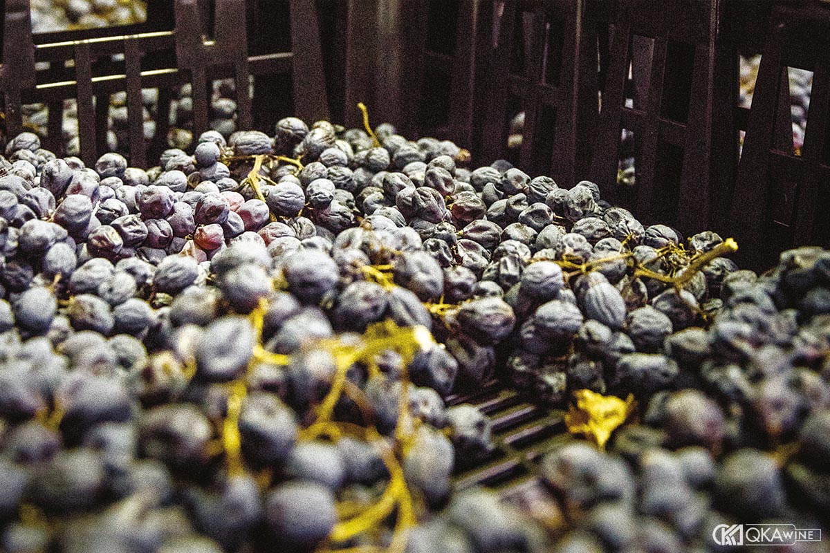 Grappa từ bã nho Amarone có gì nổi bật?