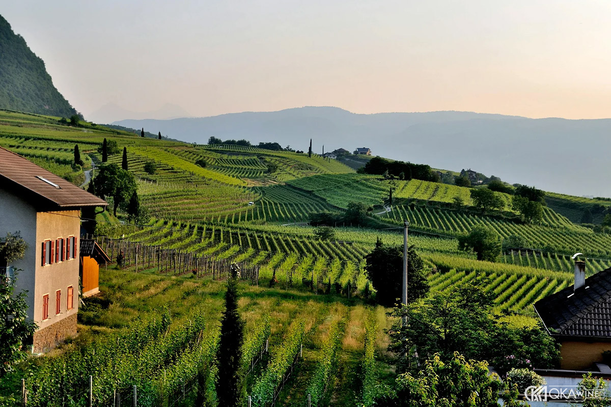 Khí hậu và vị trí sông tạo vi khí hậu đặc biệt cho Bordeaux