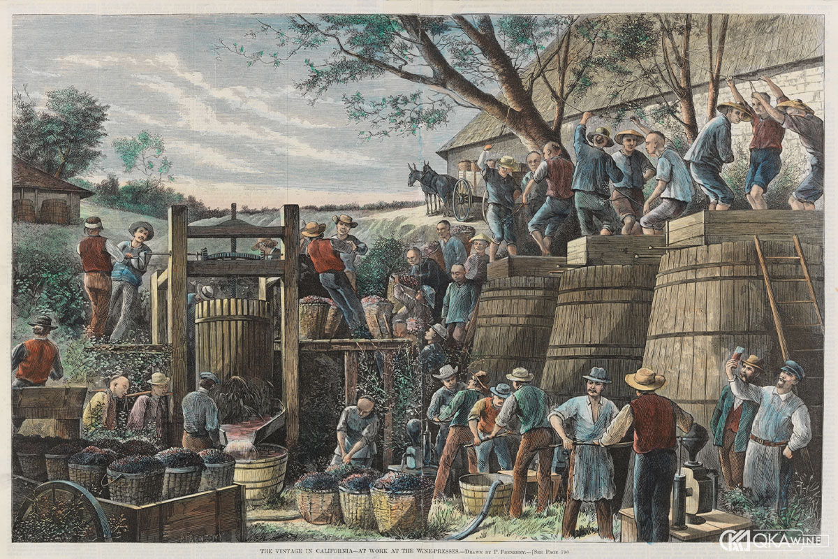 Lịch sử vang California