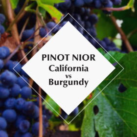 Pinot Noir California có khác Pinot Noir Burgundy không?
