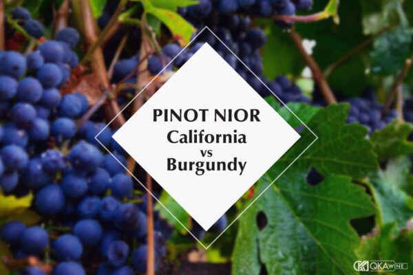 Pinot Noir California có khác Pinot Noir Burgundy không?