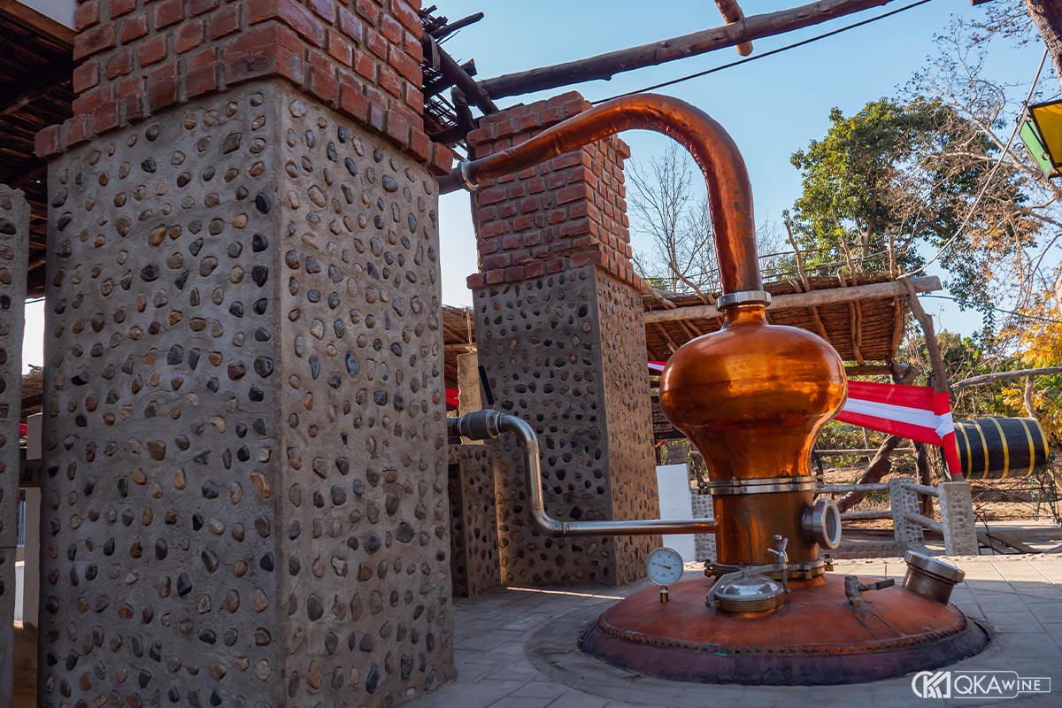 Quy trình sản xuất và chưng cất rượu Pisco