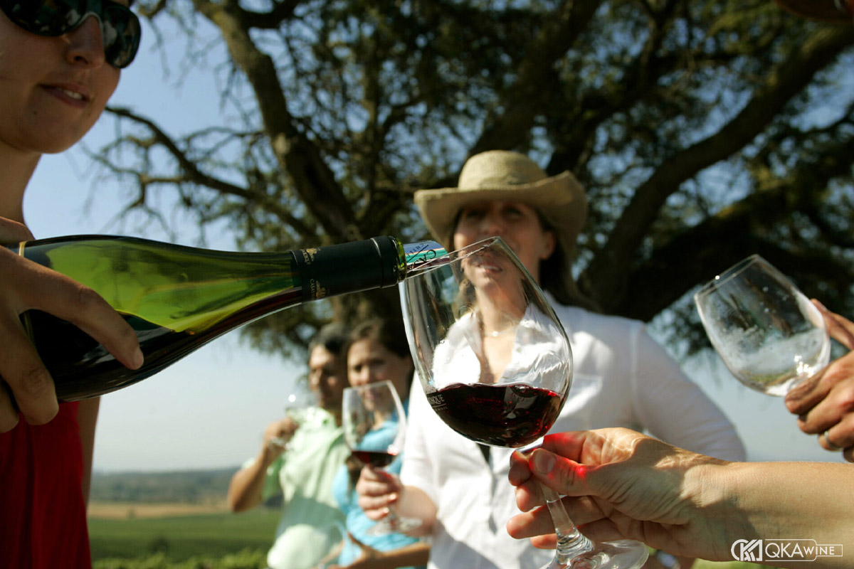 So sánh độ đậm vang California và Chile