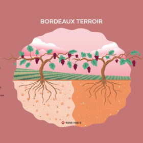 Terroir Bordeaux