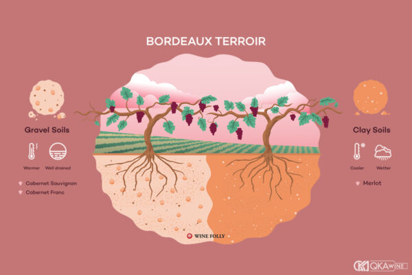 Terroir Bordeaux