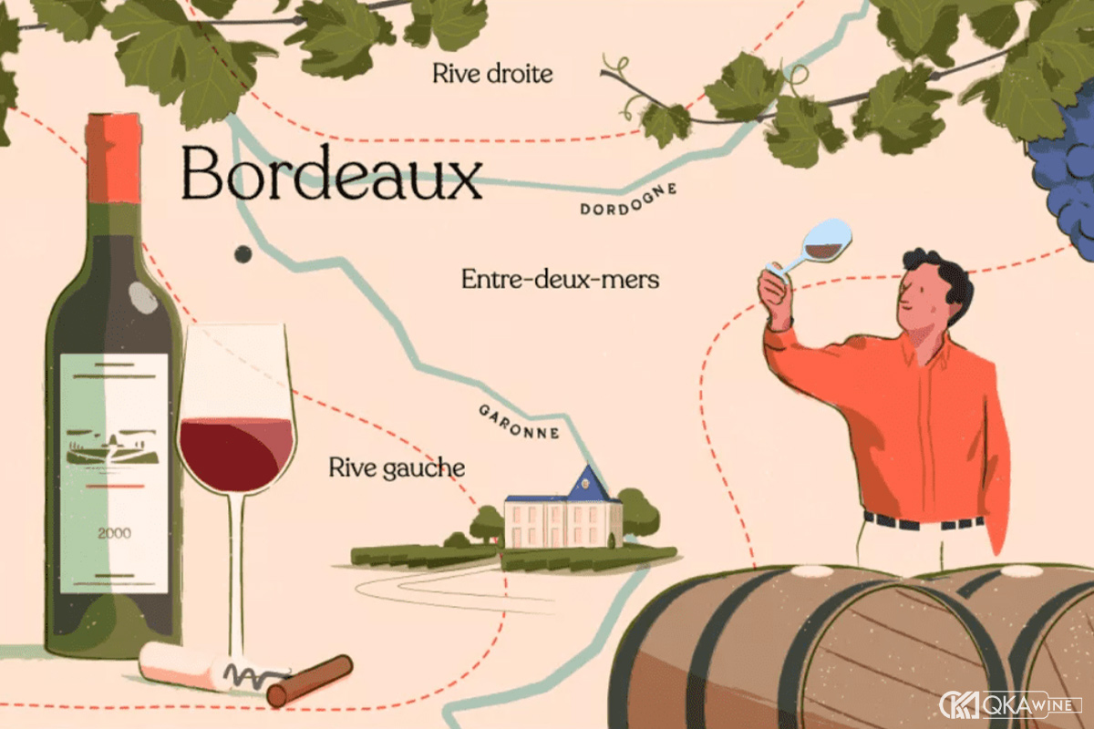 Terroir quyết định cấu trúc rượu vang Bordeaux ra sao?