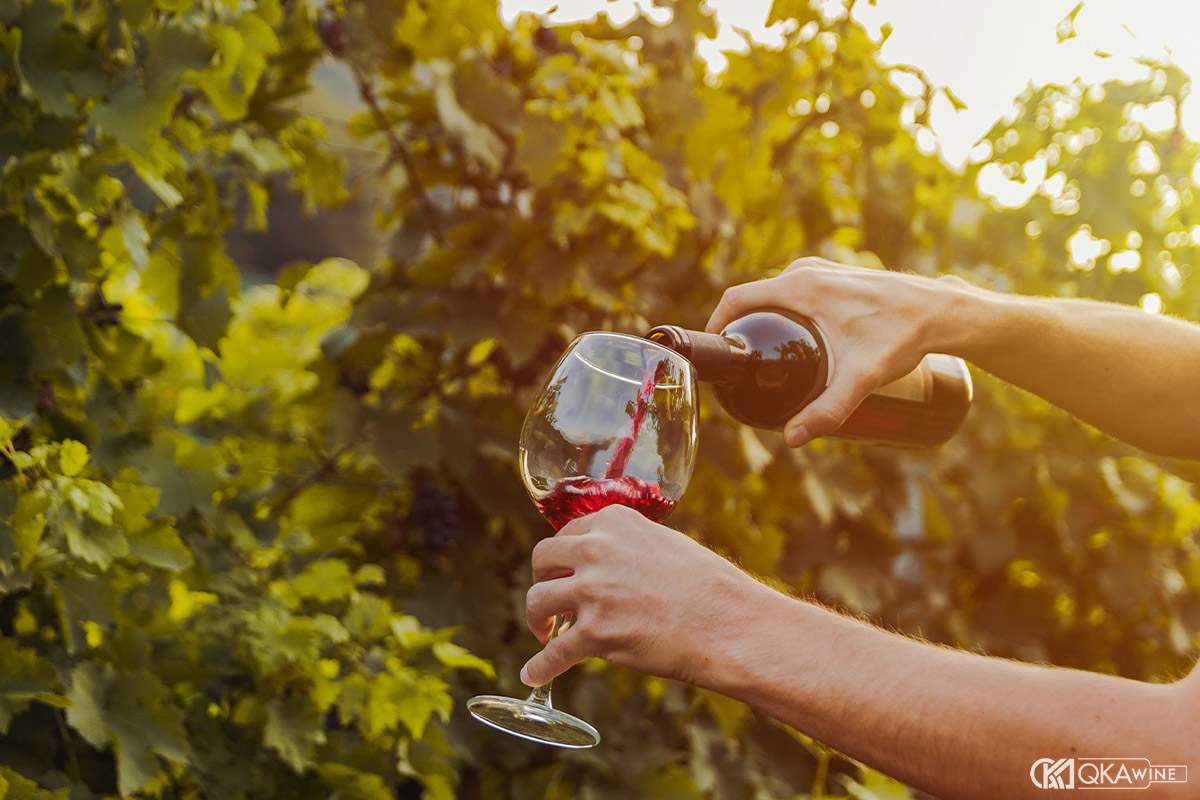 Vang Bordeaux blend là gì?