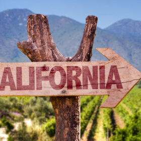 Vang California là gì?