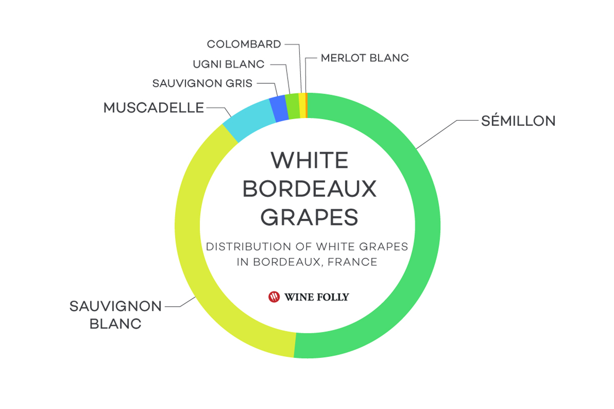 White Bordeaux grapes