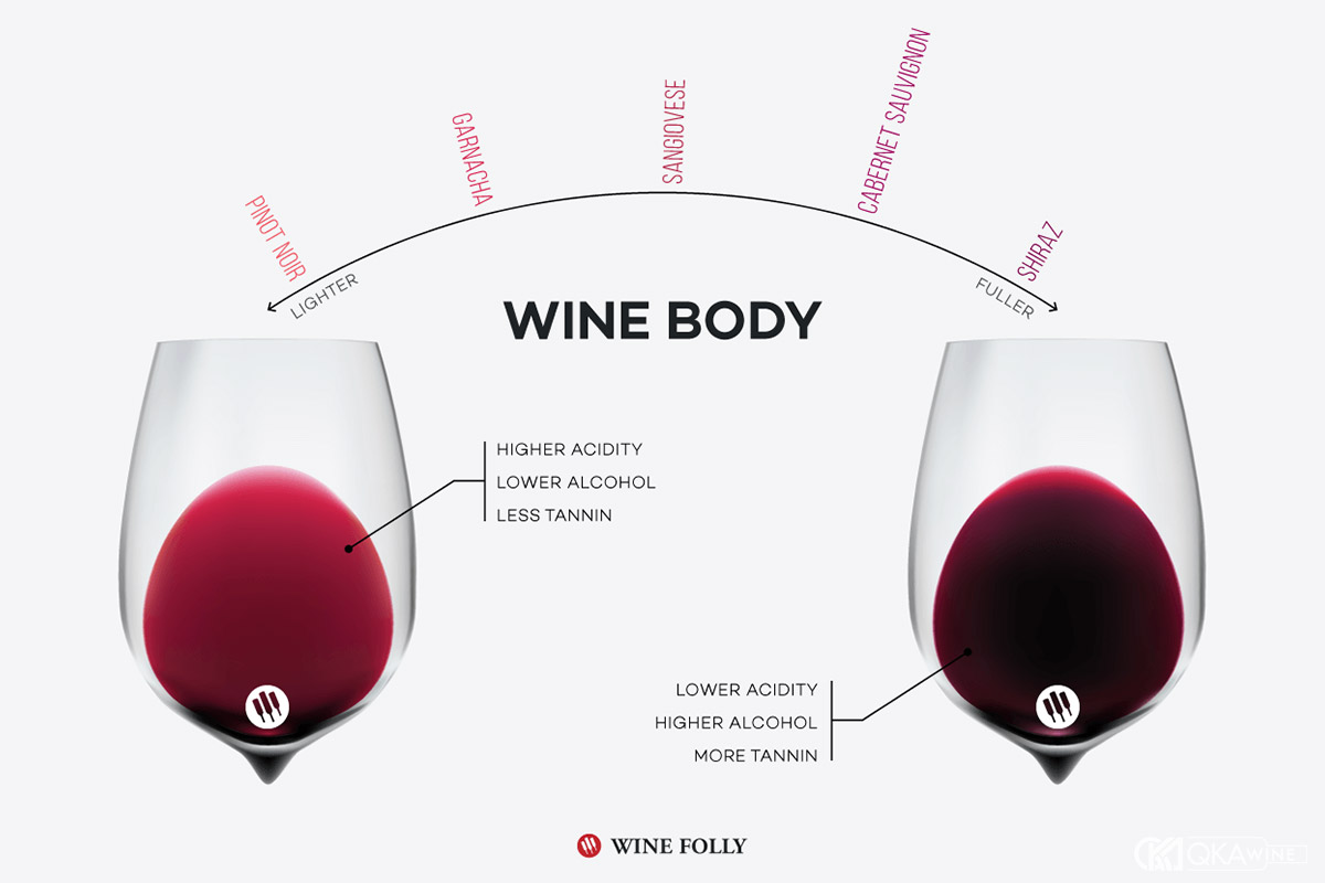 Body rượu vang đỏ là gì?