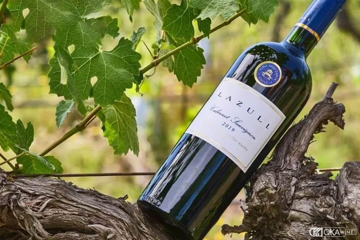 Cabernet Sauvignon Pháp