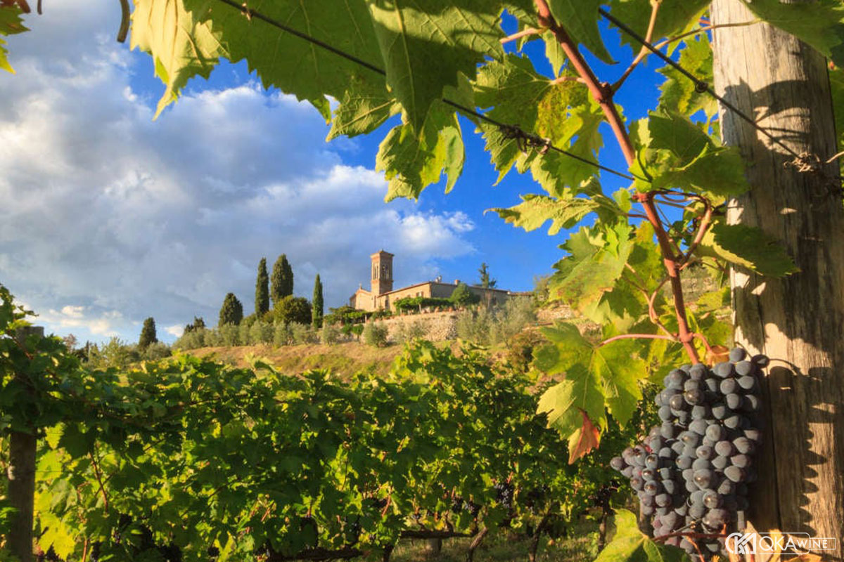 Các tiểu vùng rượu vang nổi tiếng của Tuscany