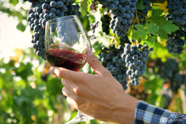 Cách thưởng thức rượu vang Cabernet Sauvignon