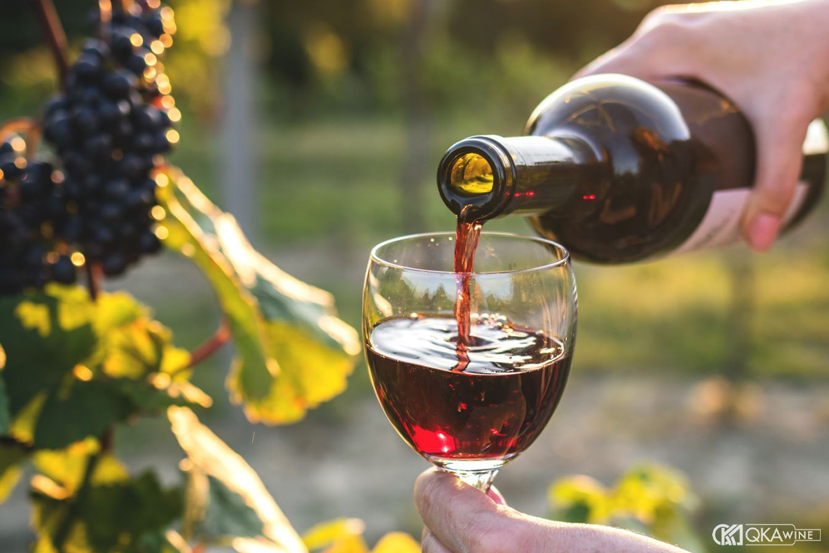 Cách tiếp cận hợp lý khi uống vang đỏ