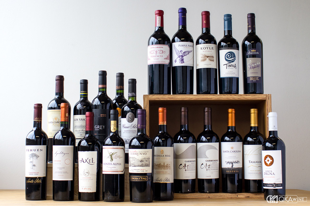 Điểm nổi bật của vang đỏ Chile