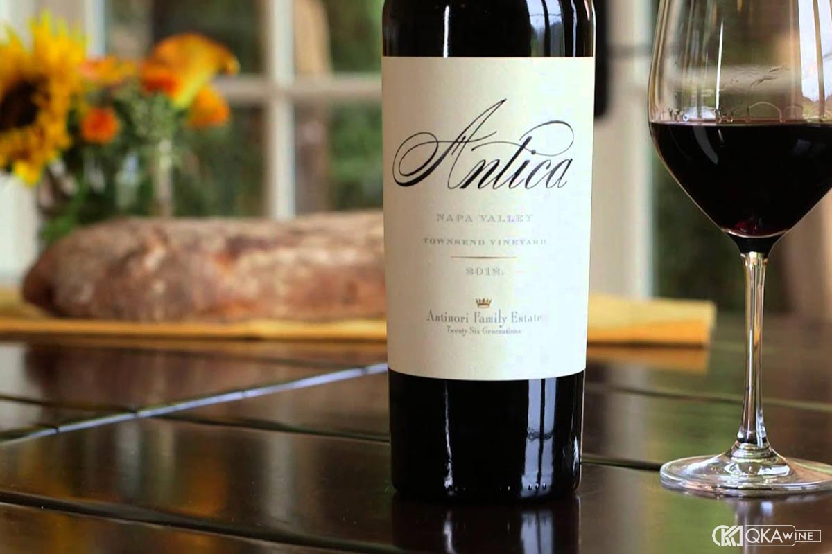 Giống nho vang California dưới 1 triệu