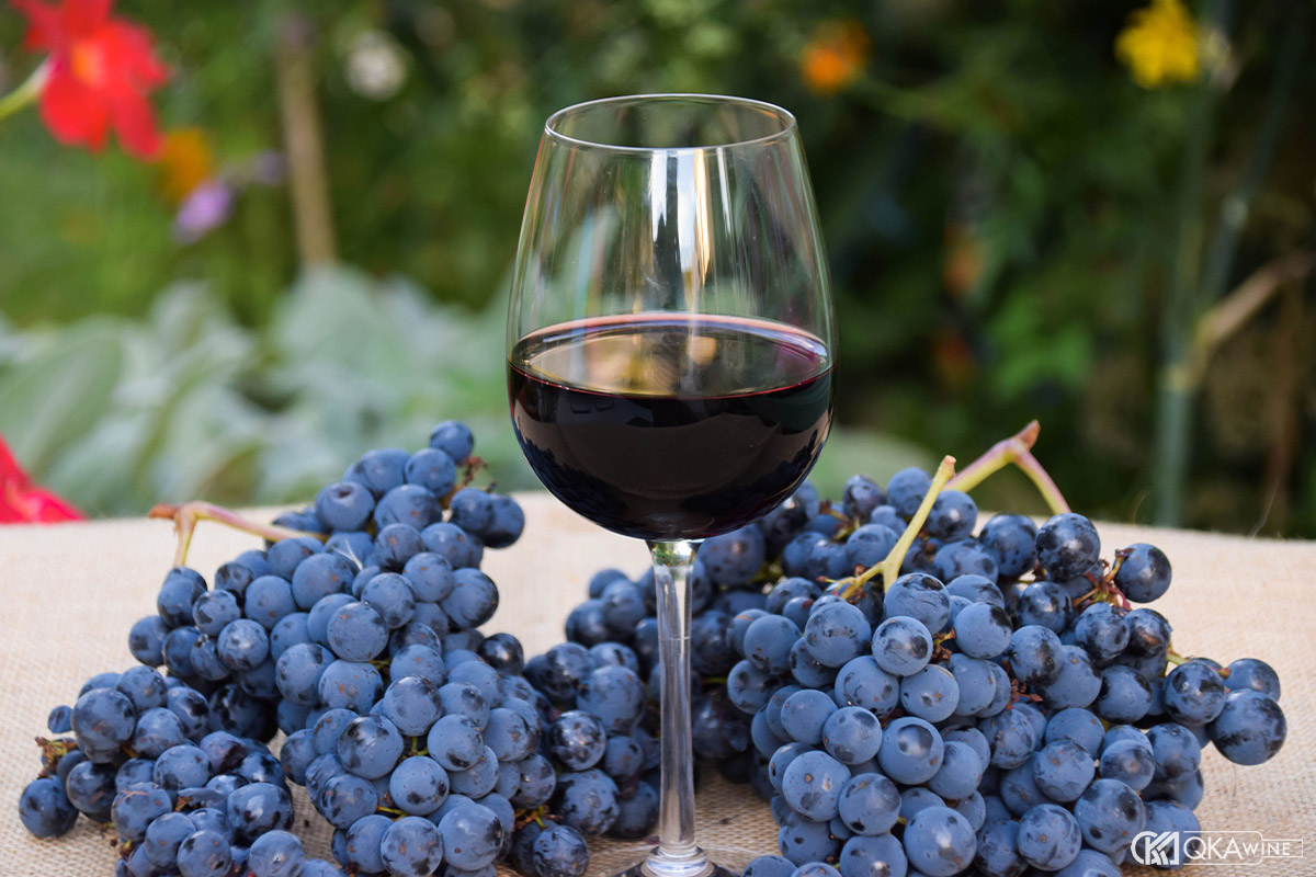 Hương vị đặc trưng của rượu vang Malbec