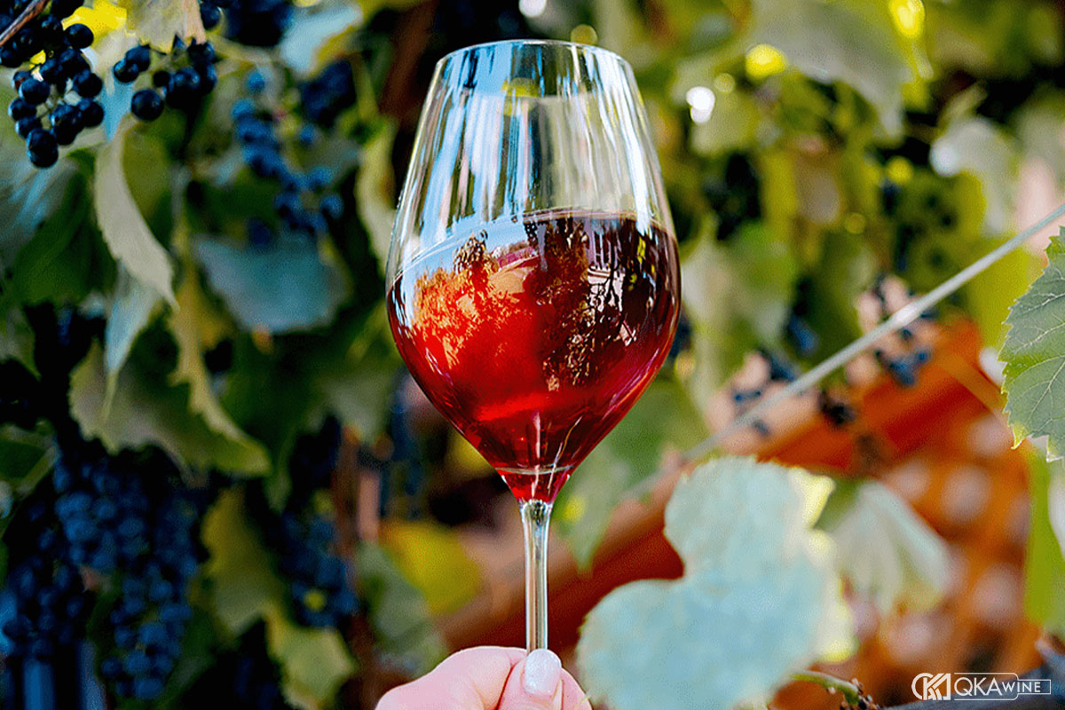 Hương vị đặc trưng của rượu vang Petit Verdot