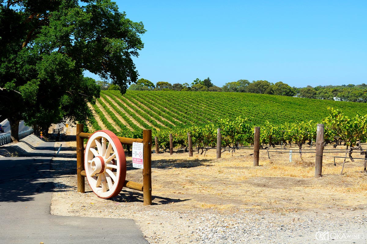 Lịch sử phát triển của vùng vang Barossa Valley