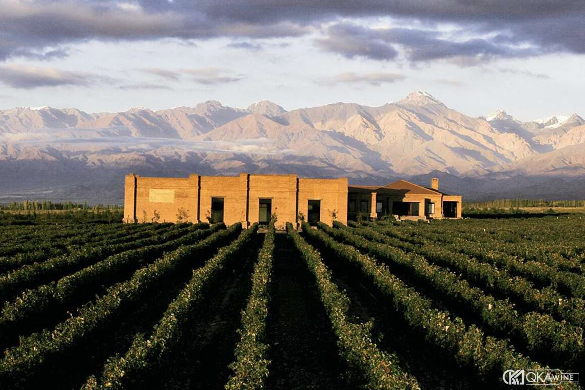 Vì sao Argentina trở thành quê hương mới của Malbec?