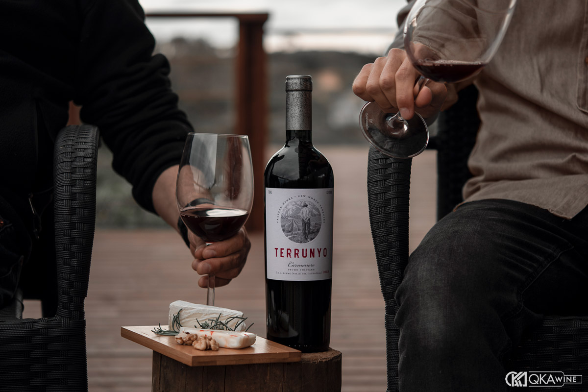 Nên chọn vang đỏ Pháp hay vang đỏ Chile theo nhu cầu