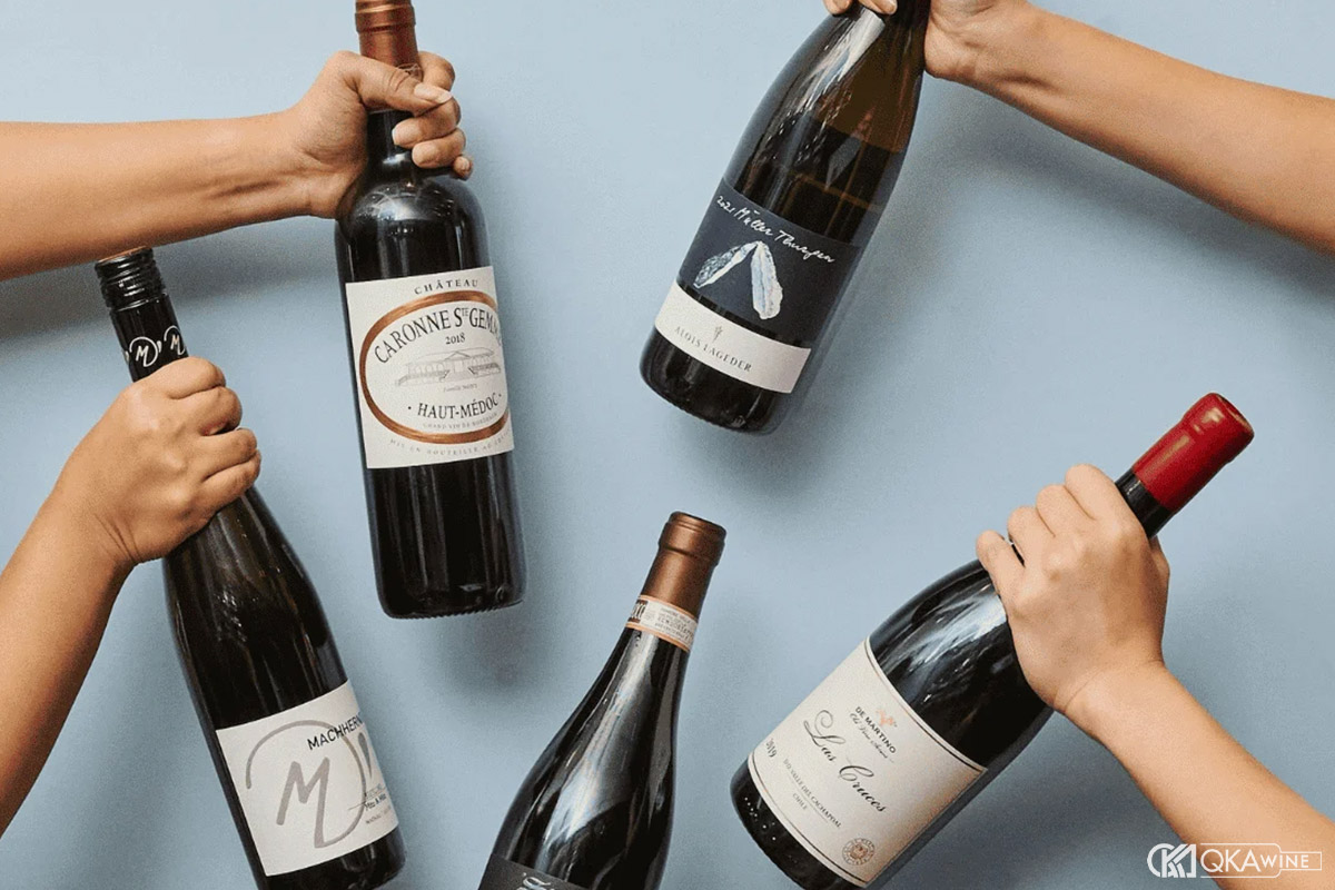 Người mới nên bắt đầu từ Cabernet Sauvignon nào?