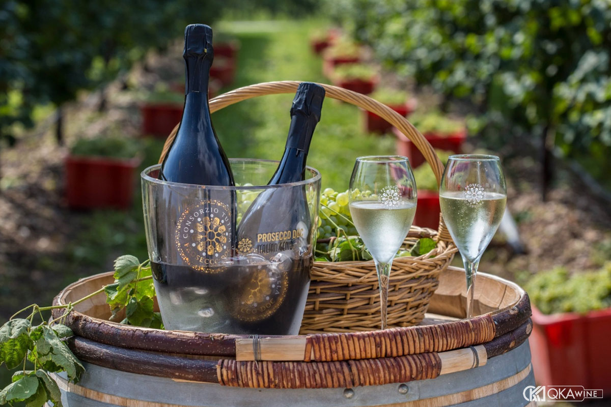 Những chai Prosecco từ nho Glera nổi bật