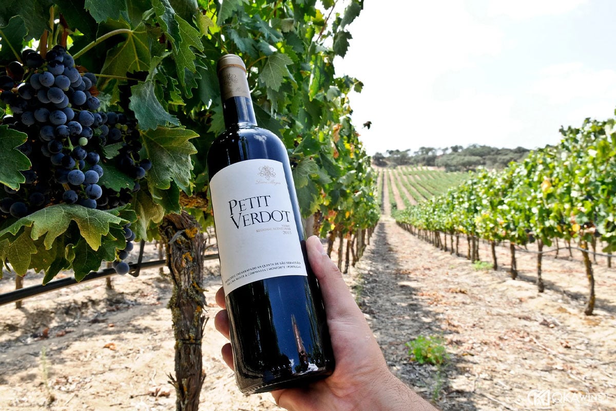 Những chai vang Petit Verdot nổi bật