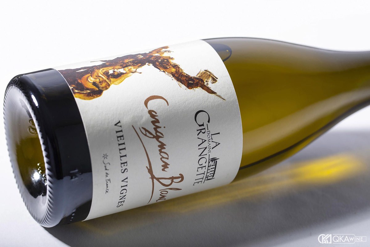 Cách phục vụ và kết hợp món ăn với vang Carignan