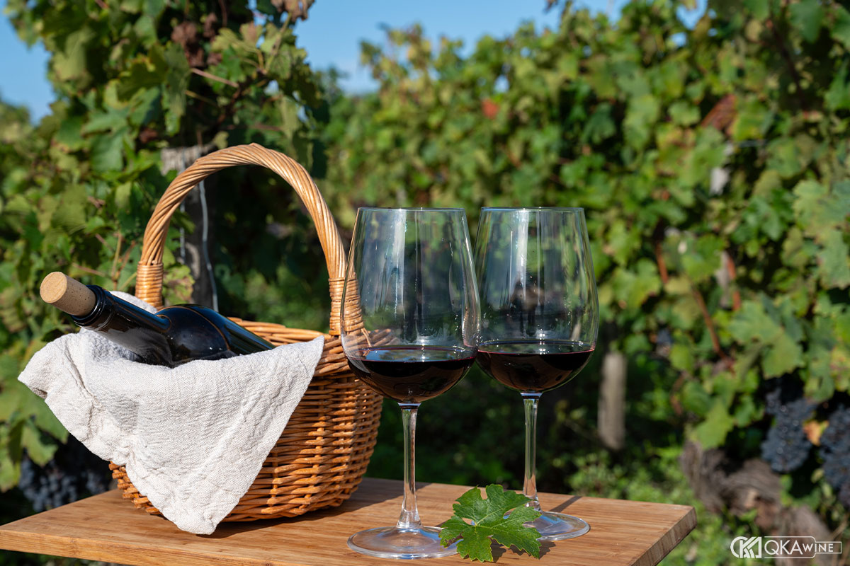 Rượu vang Pháp có gì đặc biệt?