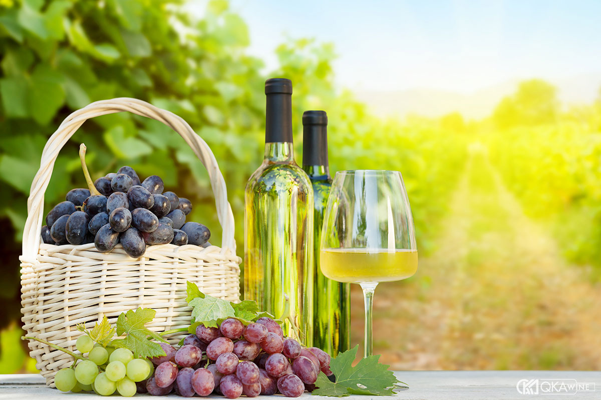 Rượu vang Tuscany cao cấp