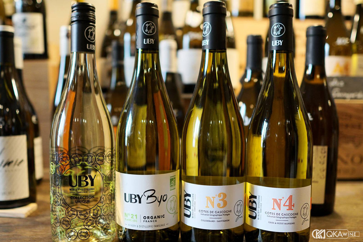 Rượu vang Ugni Blanc tiêu biểu