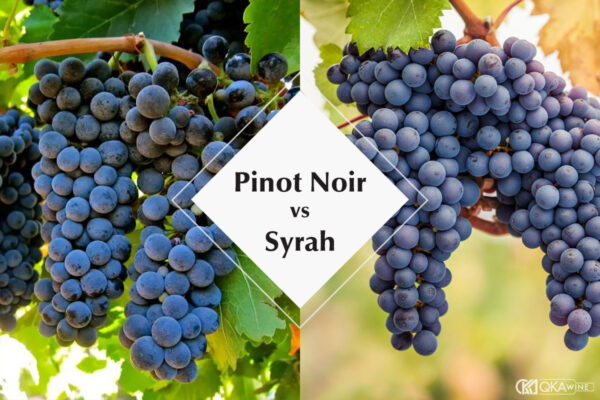 So sánh Pinot Noir và Syrah