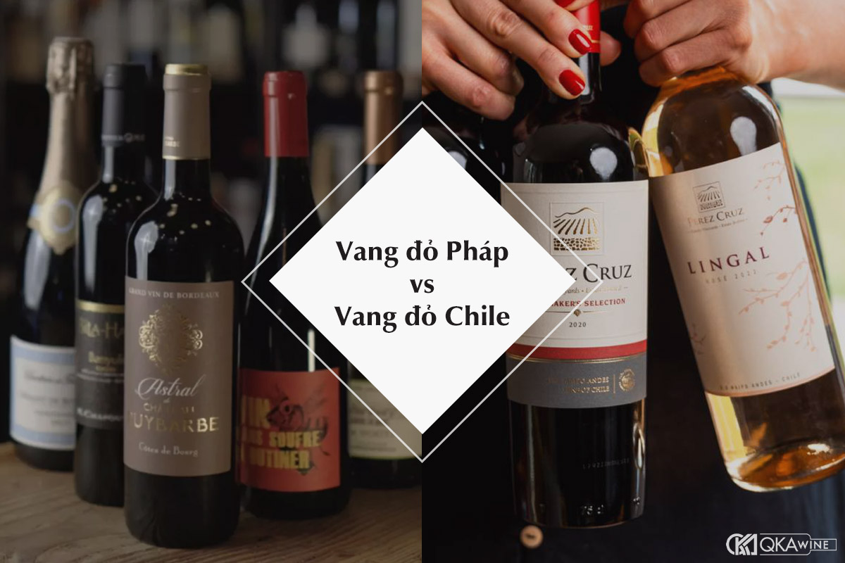 So sánh vang đỏ Pháp và vang đỏ Chile