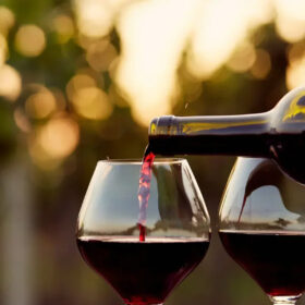 Tannin trong rượu vang đỏ