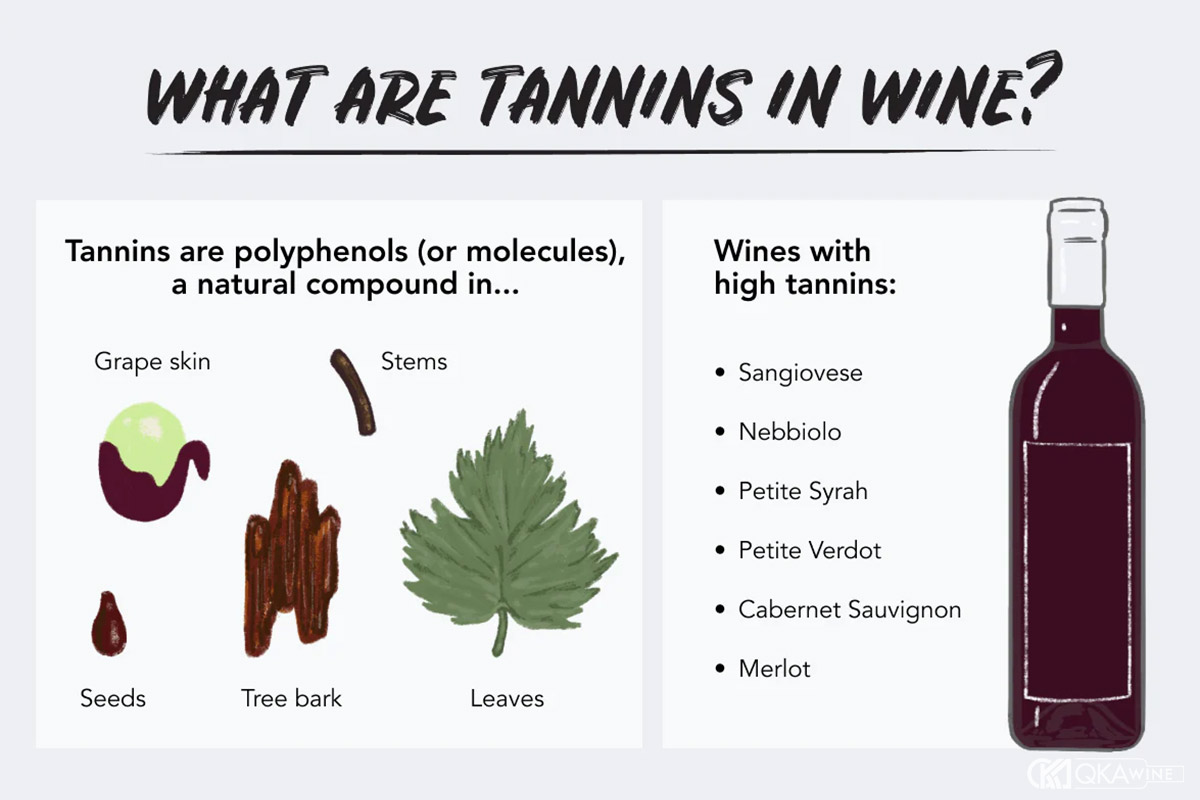 Tannin trong rượu vang đỏ là gì?