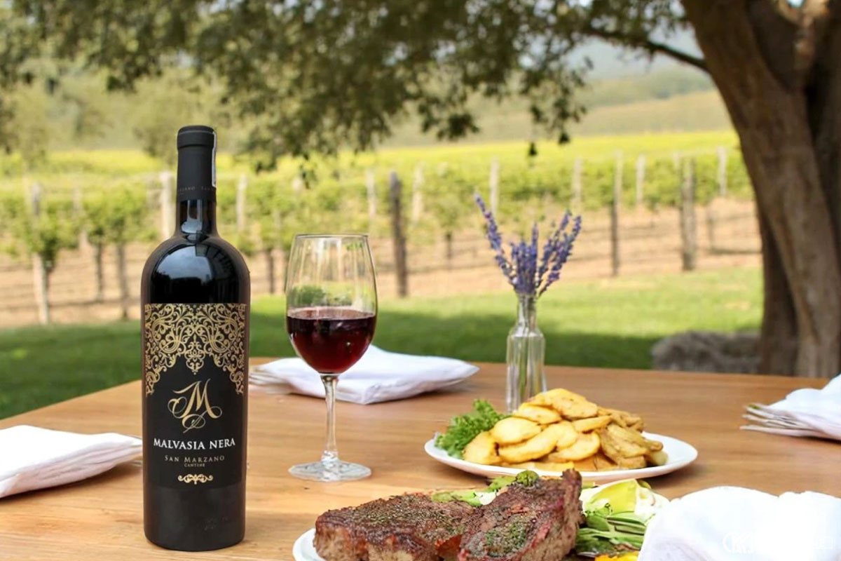 Vai trò của Malvasia Nera trong các dòng vang Ý