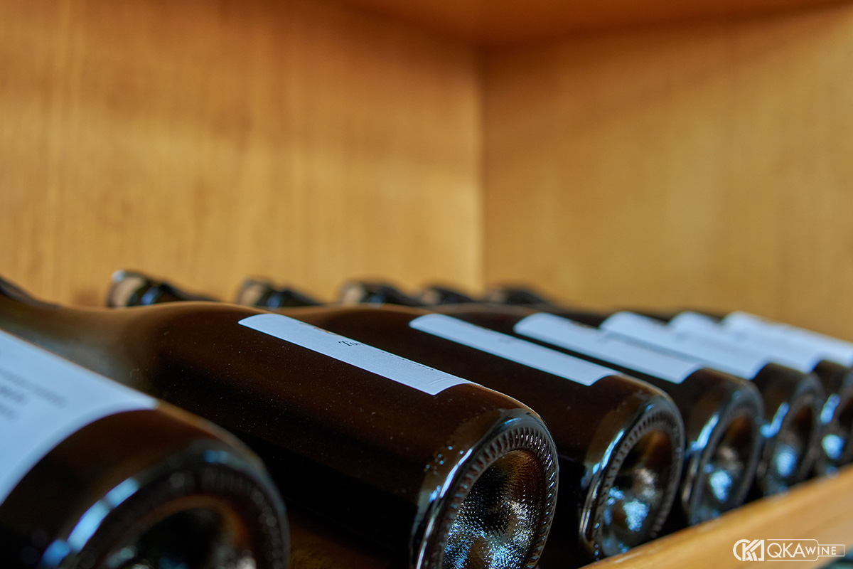 Vì sao vang Mendoza nổi tiếng trên thế giới?